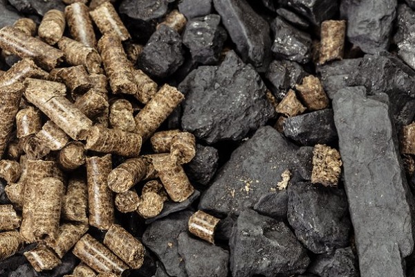 Biomass Co-firing (up to 20%), MSW and Sludge Co-firing
