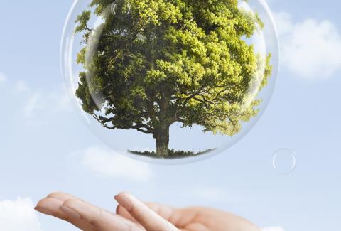 Sustainability & Green Initiatives 