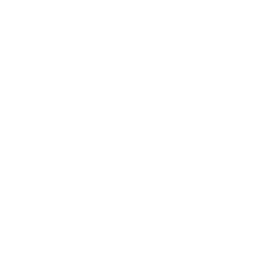 logo for News in Focus